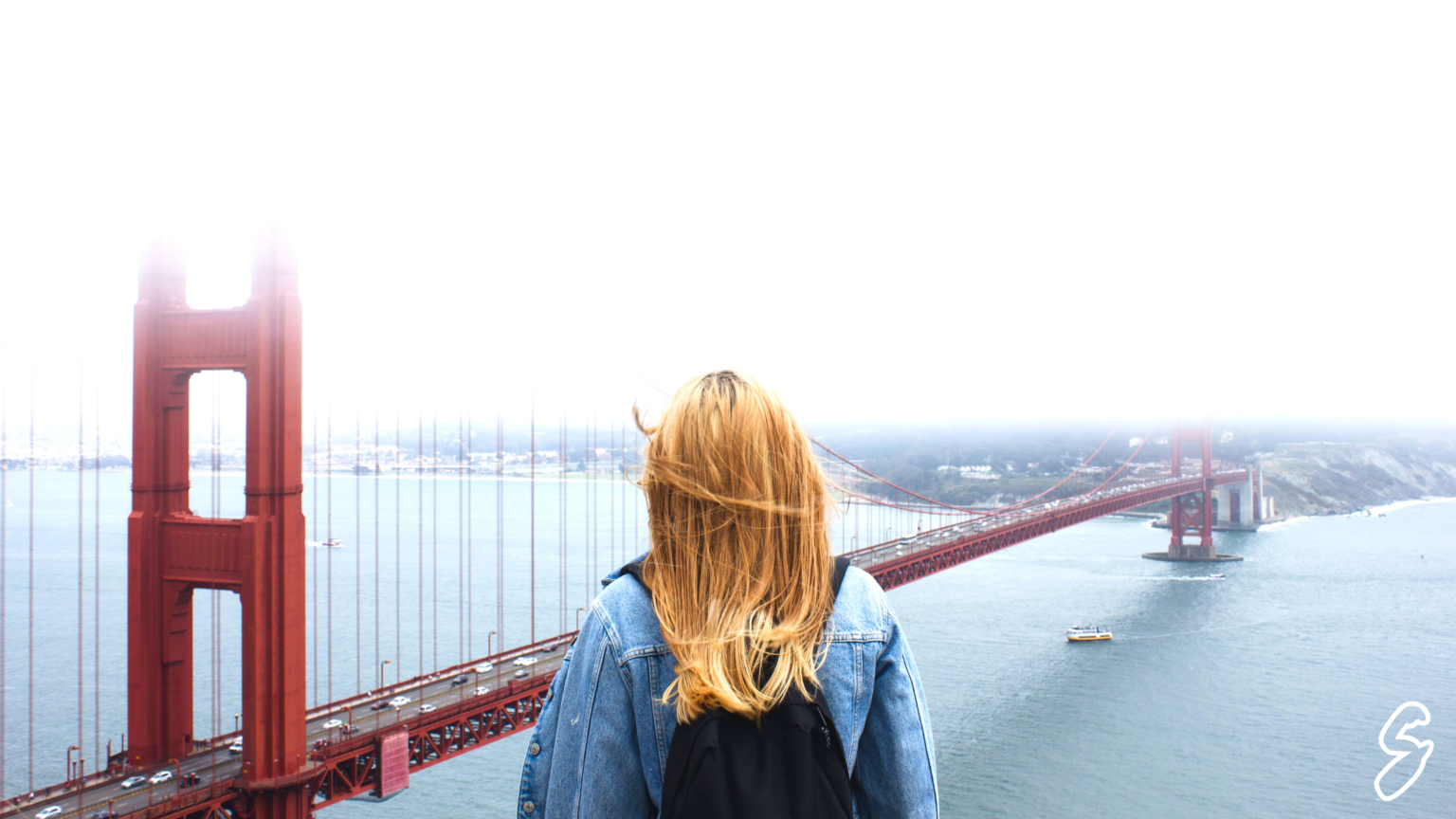 why you should apply for a startup job